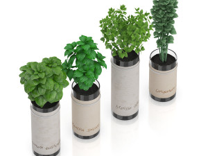 four herbs in glass pots Modèle 3D