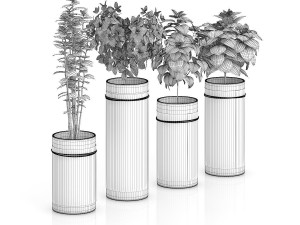four herbs in glass pots Modèle 3D