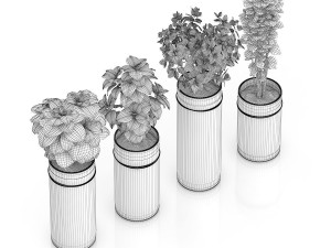 four herbs in glass pots Modèle 3D