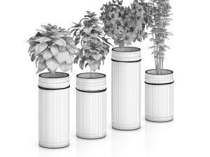 four herbs in glass pots Modèle 3D