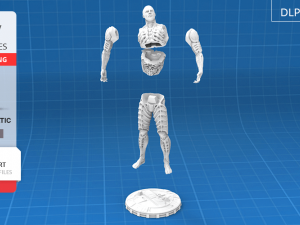 the last engineer 3d printing figurine 3D 模型