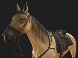 Caballo Horse Low-poly Model 3D