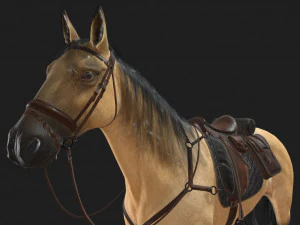 Caballo Horse Low-poly 3D Model