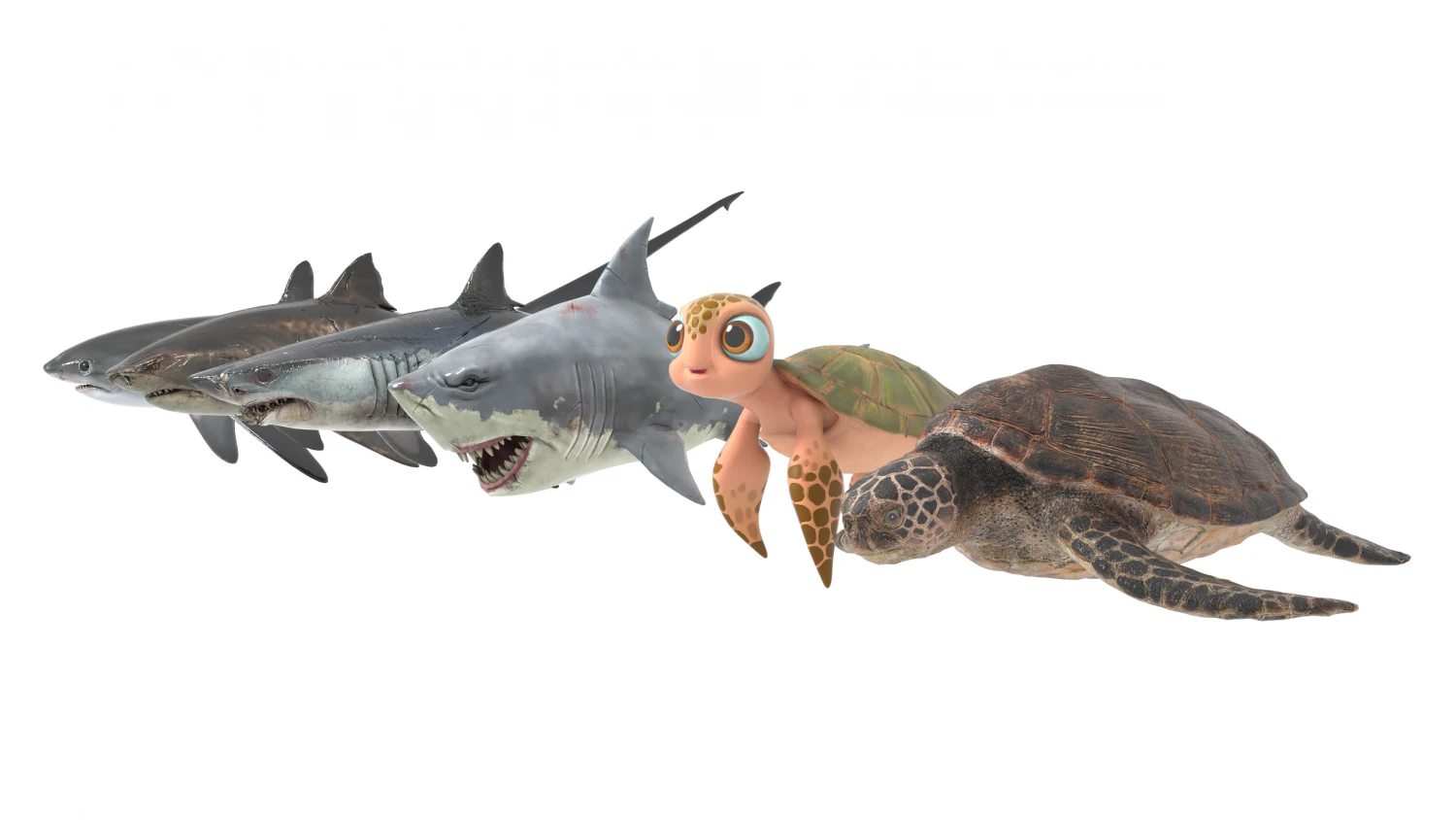 Peces de mar Modelo 3D .c4d .max .obj .3ds .fbx .stl .blend 