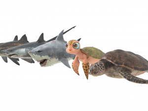 Sea Fishes 3D Model