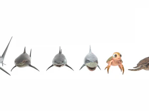 Peces de mar Modelo 3D
