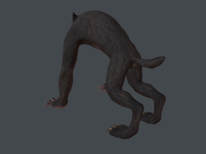 werewolf low poly 3D Model