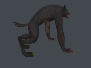 werewolf low poly 3D Model