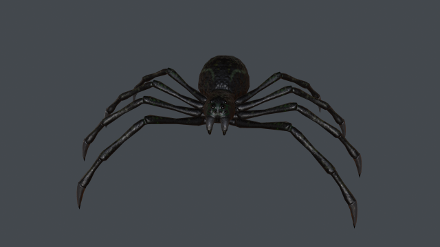 spider low poly 3D Model .c4d .max .obj .3ds .fbx .stl .blend 