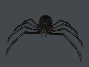 spider low poly 3D Model