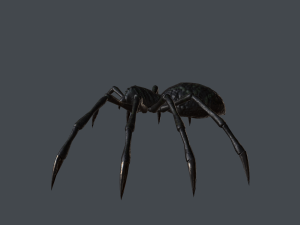 spider low poly 3D Model