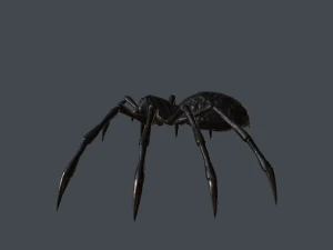 spider low poly 3D Model
