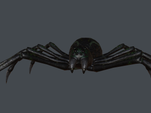 spider low poly 3D Model