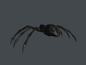 spider low poly 3D Model