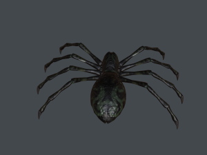 spider low poly 3D Model