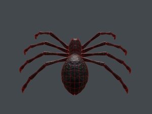 spider low poly 3D Model