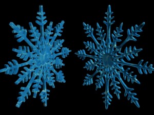 snowflake 3D Model