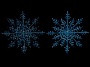 snowflake 3D Model