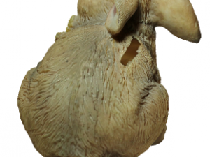 rabbit money box Model 3D