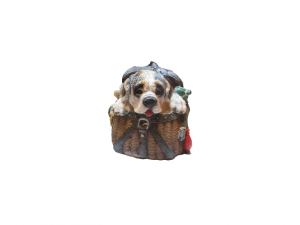 puppy in a box 3D 모델