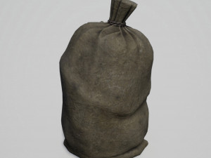 old bag 3D Model