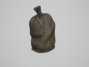 old bag 3D 모델