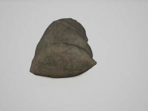 old bag 3D 모델