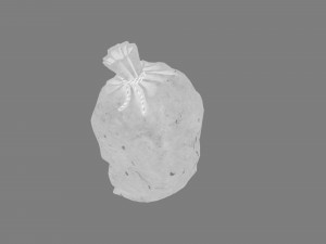 old bag 3D 모델