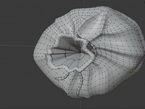old bag 3D 모델