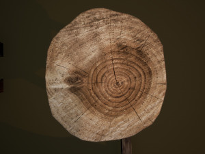medieval furniture collection Model 3D
