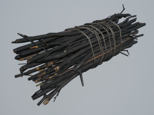 brushwood 3D Модель