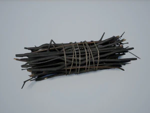 хворост 3D Модель