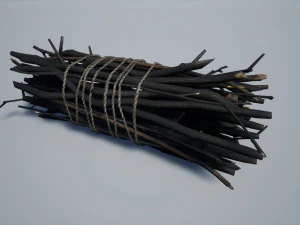 хворост 3D Модель