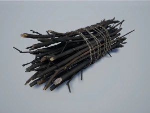 хворост 3D Модель