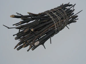 хворост 3D Модель