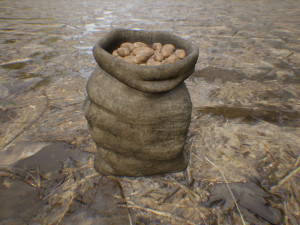 potato bag 3D मॉडल