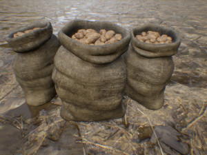 potato bag 3D मॉडल