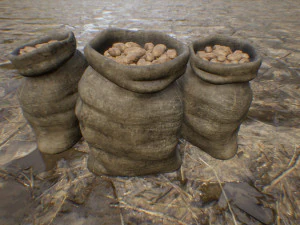sac de pommes de terre Modèle 3D