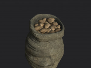 potato bag 3D मॉडल