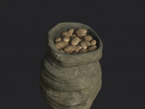 sac de pommes de terre Modèle 3D