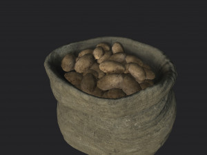potato bag 3D मॉडल