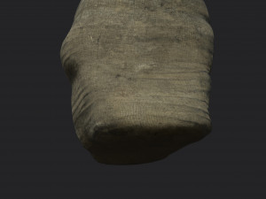 potato bag 3D मॉडल
