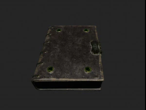 book artefact 3D Model