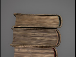 old books collection 3D Модель