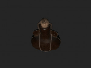leather bottle 3D Модель