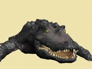 Krokodil 3D Modell