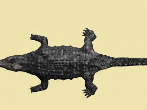 krokodyl Model 3D