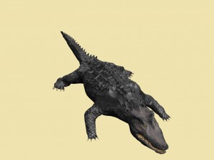 crocodile Model 3D