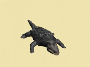 crocodile Model 3D