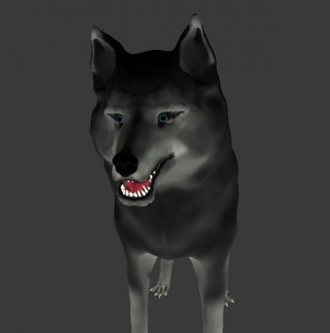 wolf Modèle 3D .c4d .max .obj .3ds .fbx .stl .blend 
